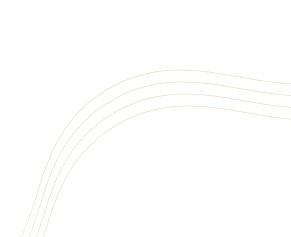 Shape Shape